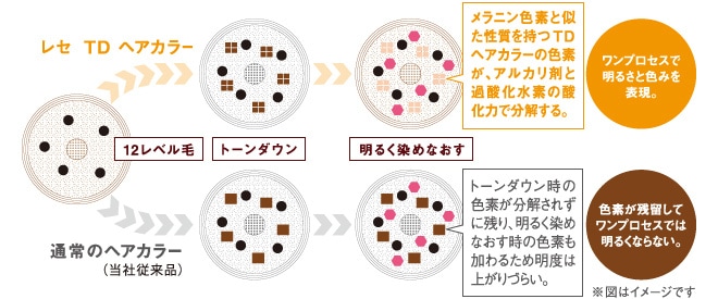 「レセ TD ヘアカラー」のテクノロジー