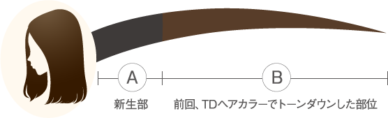 明るく染めなおす際の推奨プロセス