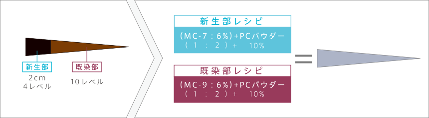 根元2cm伸び、既染部が10レベルの状態を９レベルのモノクロームへ