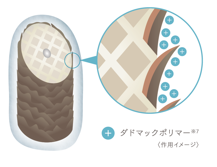 スムースタッチ