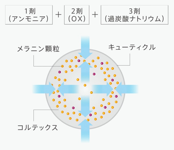 プロマスター　アプリエシリーズ