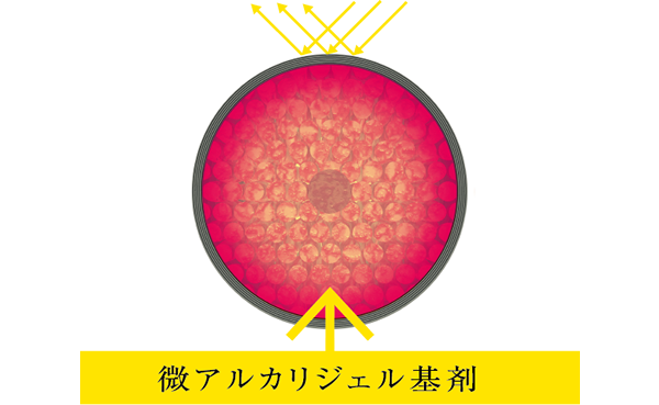 鮮やかな発色とツヤ1