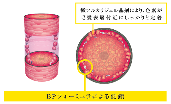 BPフォーミュラによる側鎖